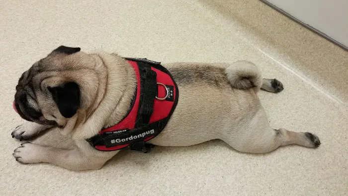 Fort Meade Veterinary Treatment Facility Picture 10