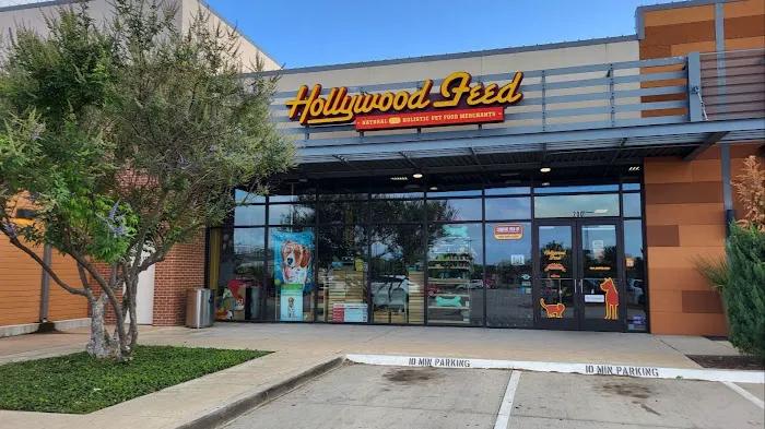 Hollywood Feed Picture 10