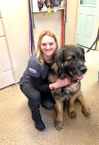 Atlantic Veterinary Services Picture 5