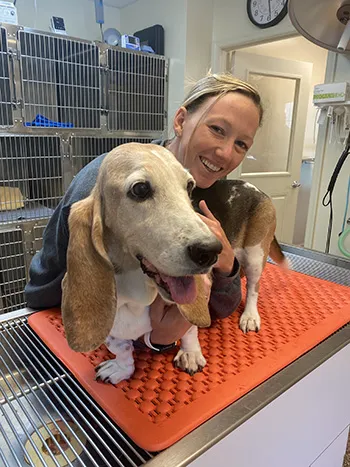 Atlantic Veterinary Services Picture 9