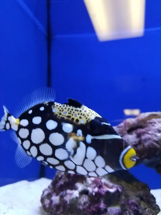 Exotic Aquatics Picture 2