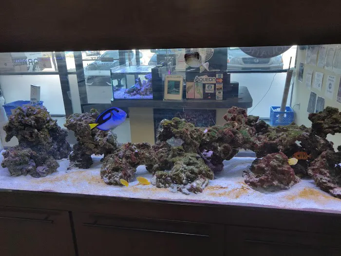 Exotic Aquatics Picture 3