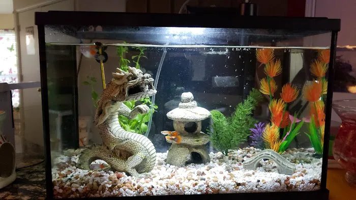 Exotic Aquatics Picture 1