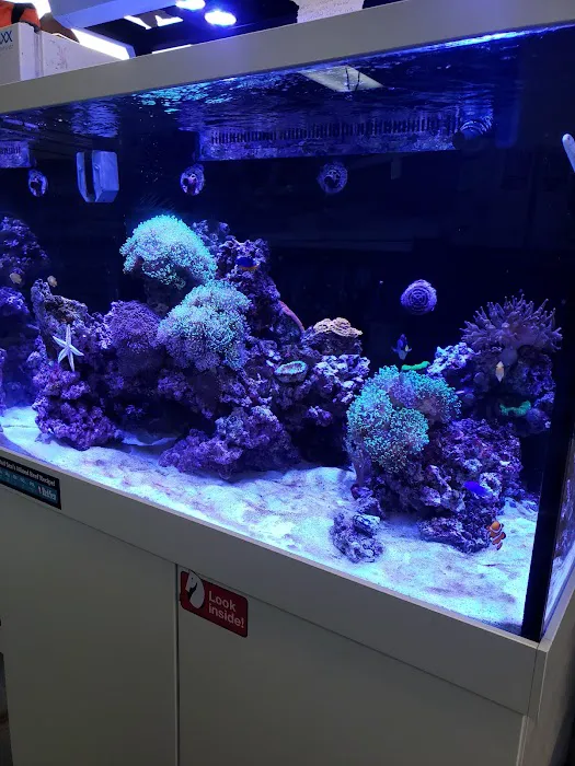 Exotic Aquatics Picture 8