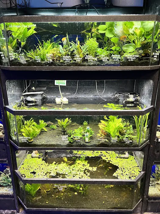 Exotic Aquatics Picture 9
