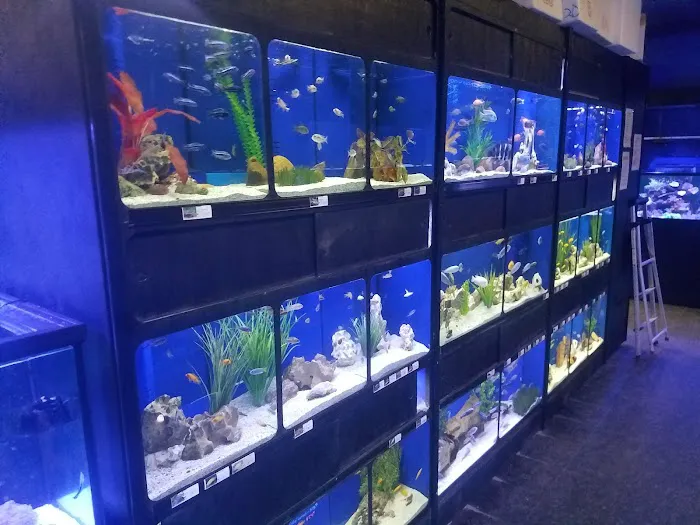 Exotic Aquatics Picture 10