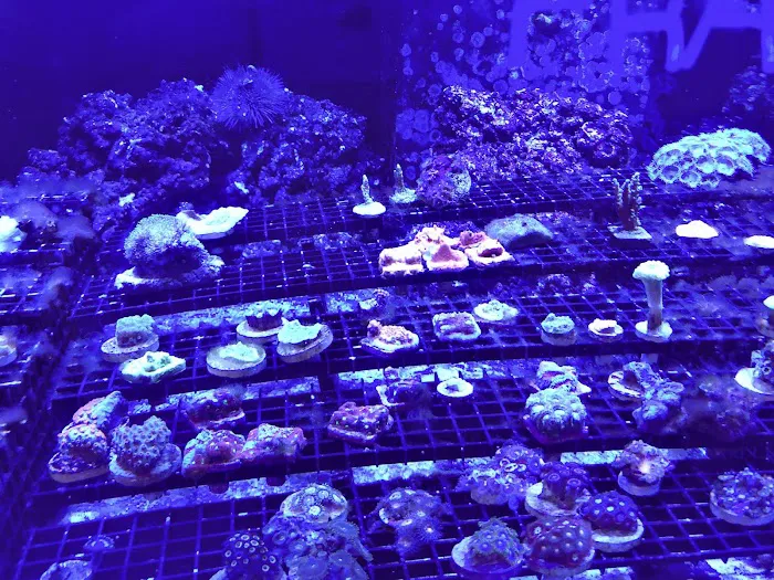 Exotic Aquatics Picture 7