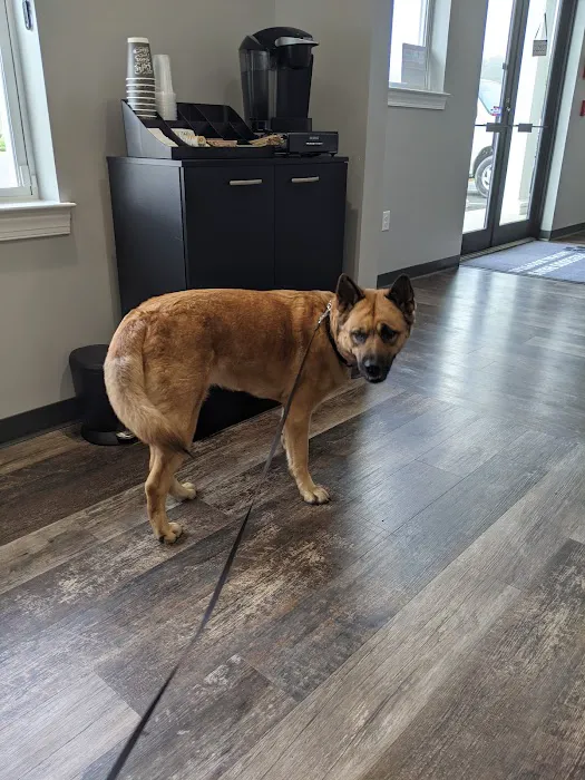 Precious Paws Animal Hospital Picture 10