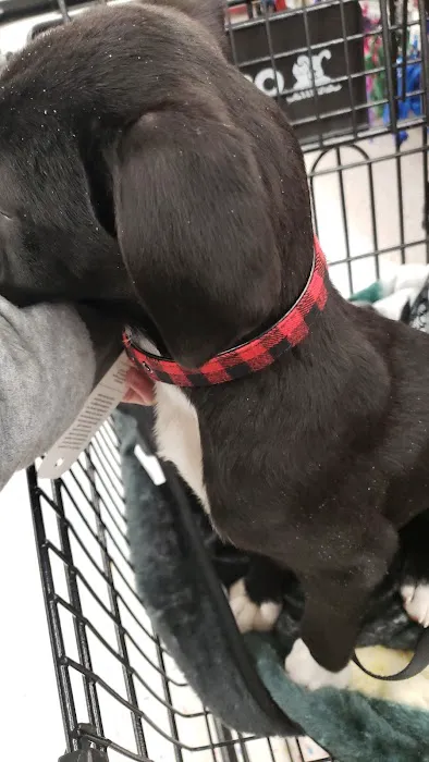 Petco Picture 3