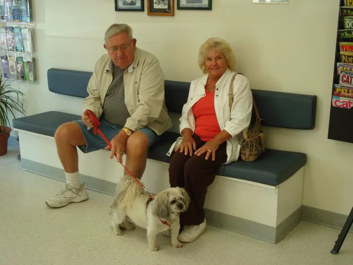 VCA Delmarva Animal Hospital Picture 5