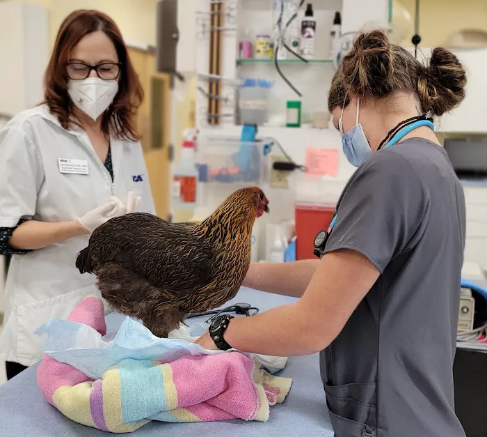 VCA Delmarva Animal Hospital Picture 7