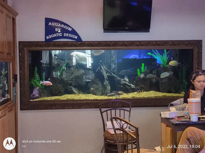Aquatic Design Aquariums Picture 6