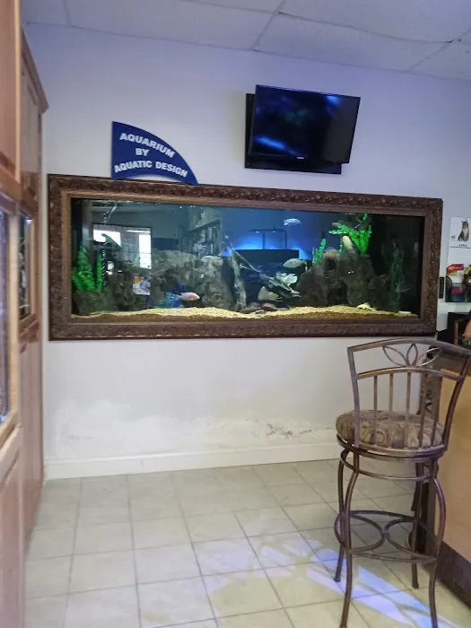Aquatic Design Aquariums Picture 4