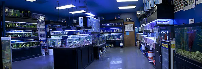 Aquatic Design Aquariums Picture 7
