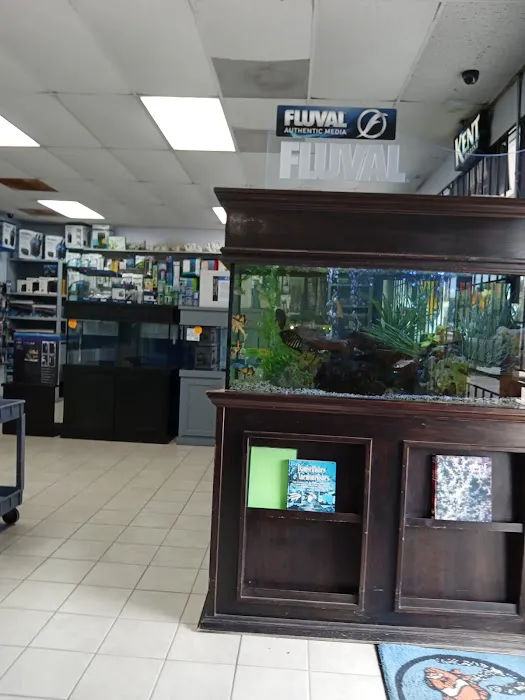 Aquatic Design Aquariums Picture 2