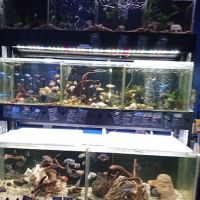 Aquatic Design Aquariums ico