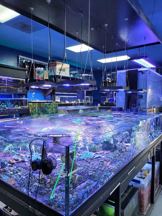 Aquatic Design Aquariums Picture 9