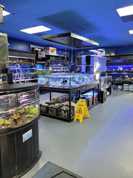 Aquatic Design Aquariums Picture 10