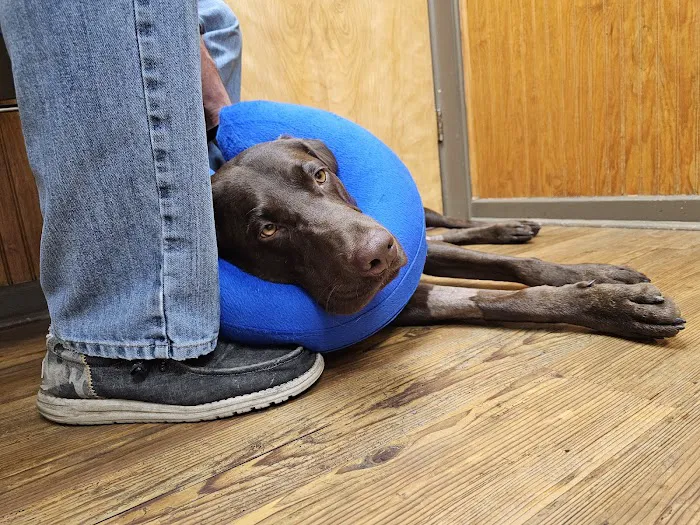 Berlin Animal Hospital Picture 1