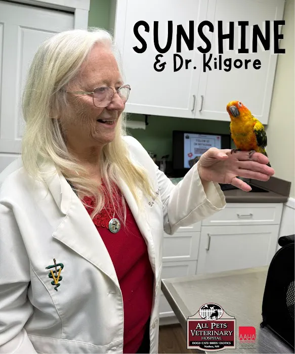 All Pets Veterinary Hospital Picture 2