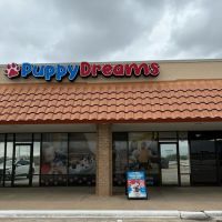 Puppy Dreams - Garland ico