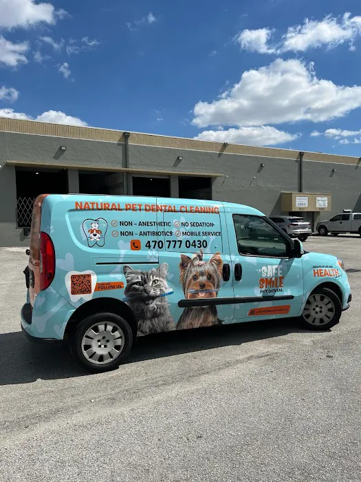 Safe Smile Pet Dental Picture 7