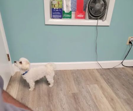 Layfield Veterinary Services Inc