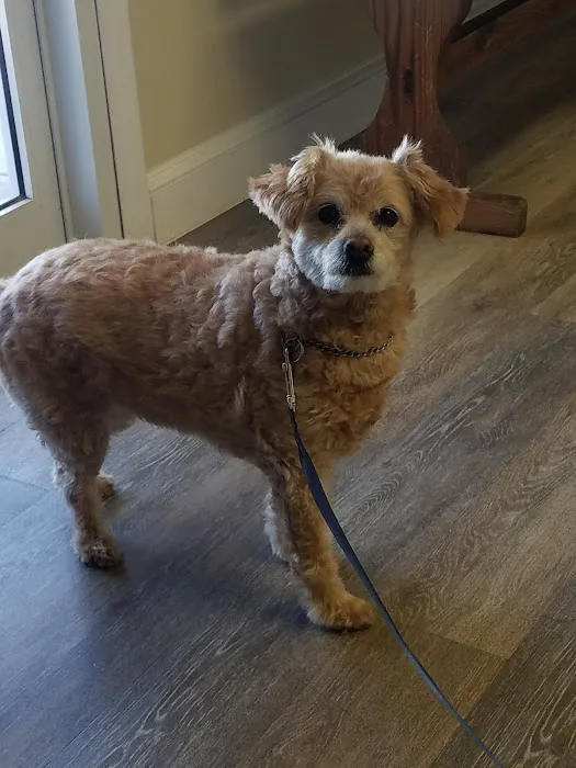 Layfield Veterinary Services Inc Picture 6