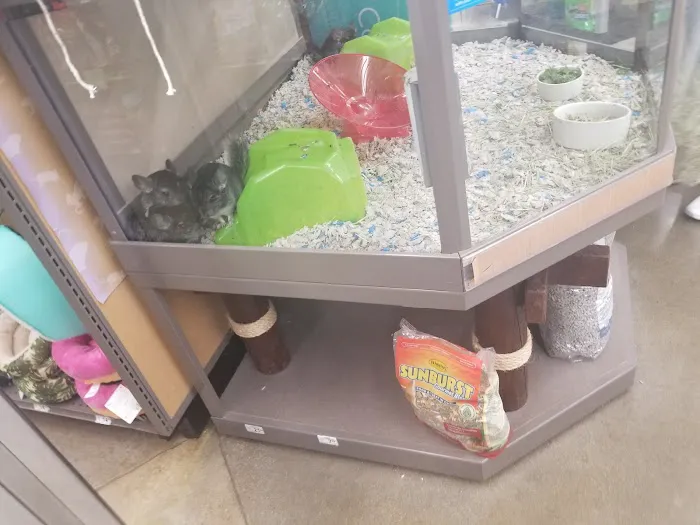 Petco Picture 1