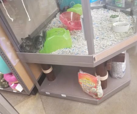 Petco
