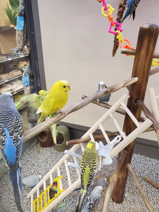 Petco Picture 4