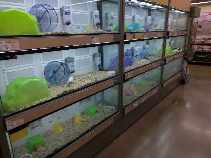 Petco Picture 8