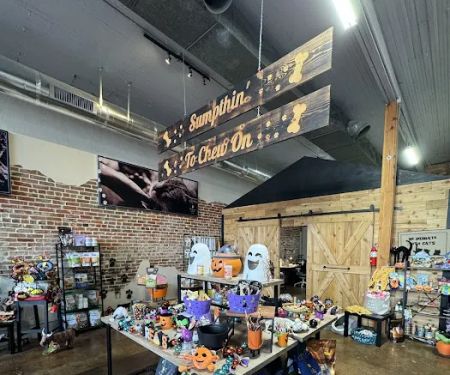JeTT Pets Club for Dogs - Plano