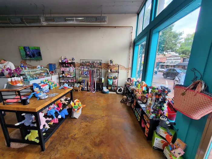 JeTT Pets Club for Dogs - Plano Picture 4