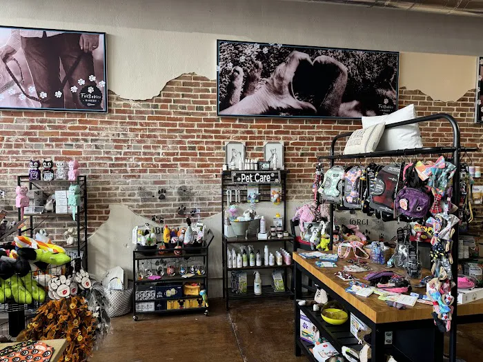JeTT Pets Club for Dogs - Plano Picture 2