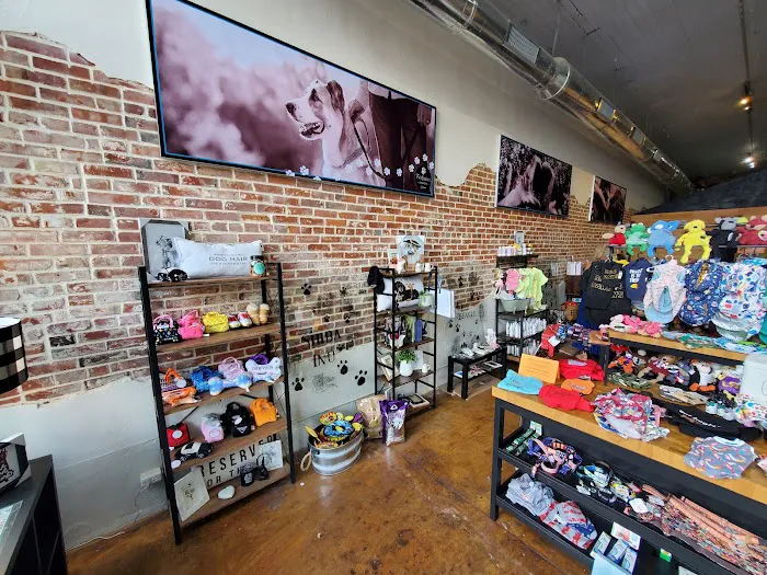 JeTT Pets Club for Dogs - Plano Picture 8