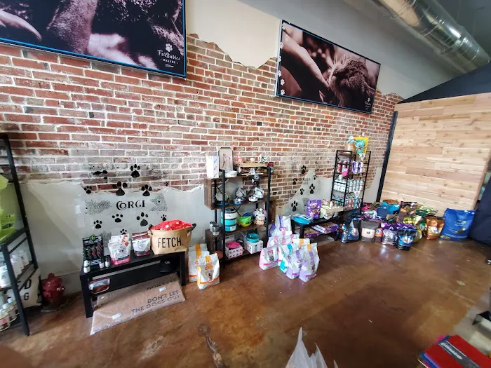 JeTT Pets Club for Dogs - Plano Picture 10