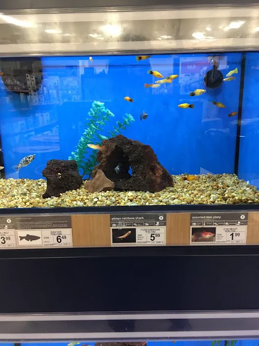 Petco Picture 7