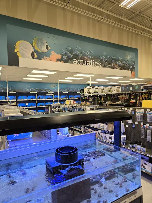 Petco Picture 9