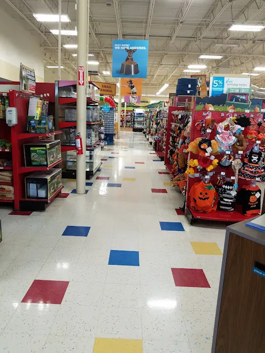 Petco Picture 5