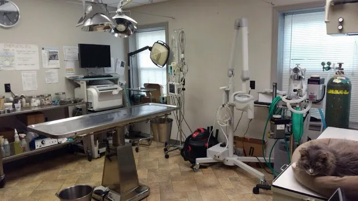 University Drive Veterinary Hospital Picture 1