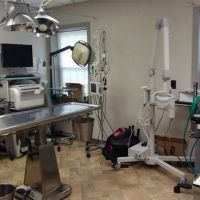 University Drive Veterinary Hospital ico