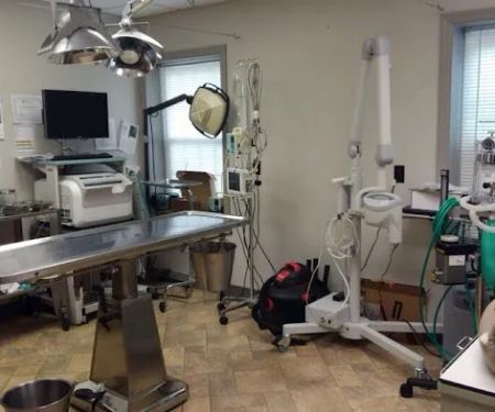 University Drive Veterinary Hospital