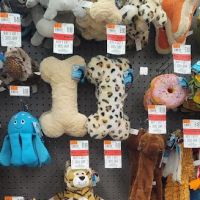 Pet Supplies Plus Weatherford ico