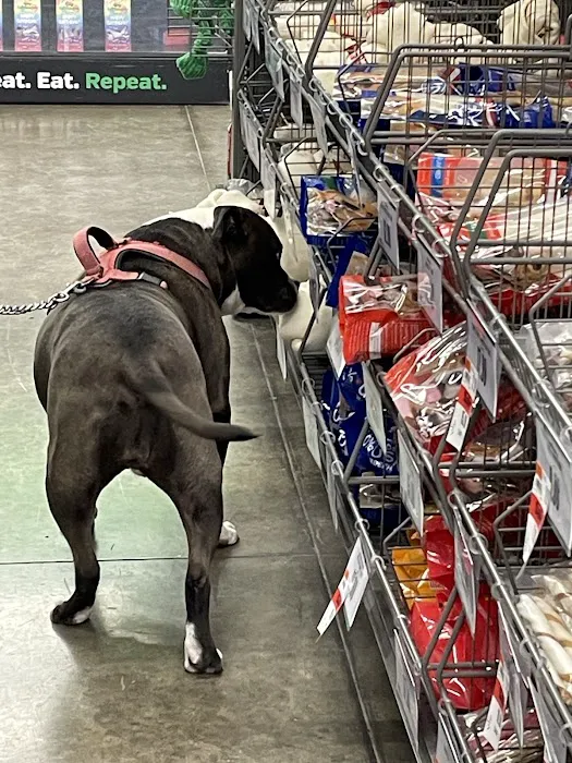Pet Supplies Plus Weatherford Picture 7