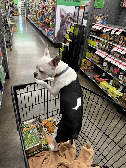 Pet Supplies Plus Weatherford Picture 5