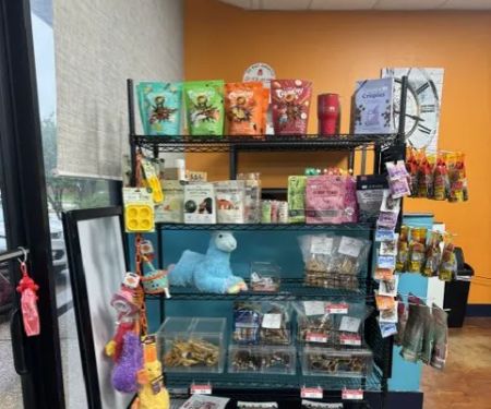 DFW Raw Dog Food @ Paws Up Daycare and Boarding