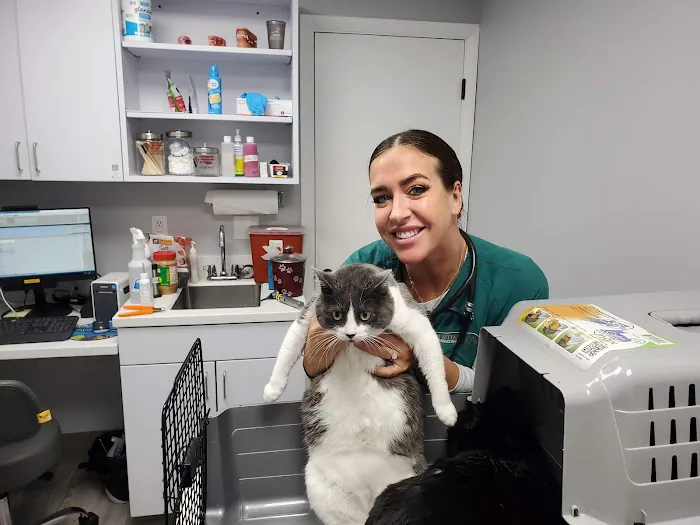 Mt. Nittany Veterinary Hospital Picture 6
