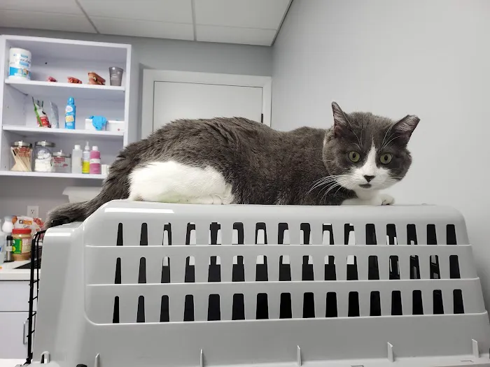 Mt. Nittany Veterinary Hospital Picture 5