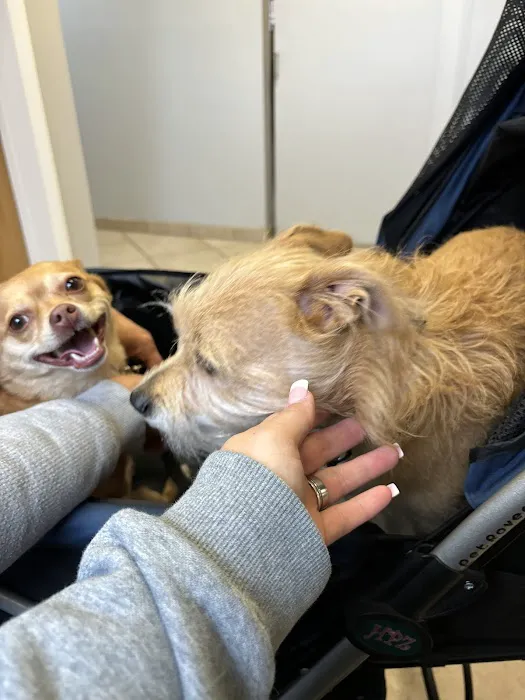 Mt. Nittany Veterinary Hospital Picture 10